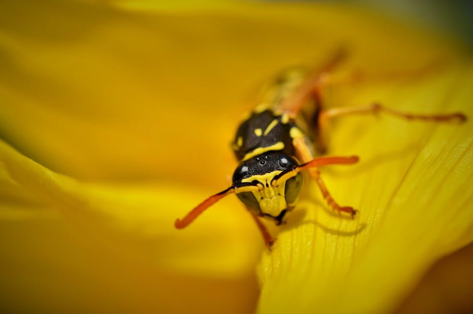 Detailed macro image capturing a wasp on a bright yellow flower petal, showcasing insect's intricate features.