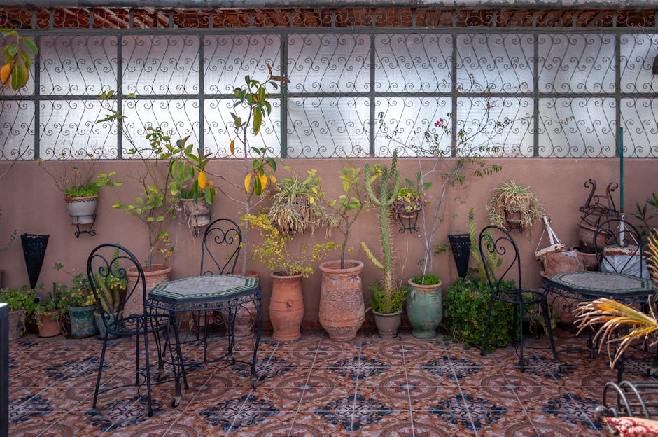 Interior of cozy cafe with forged tables and chairs and floor covered with zellij mosaic tiles decorated with assorted potted exotic plant