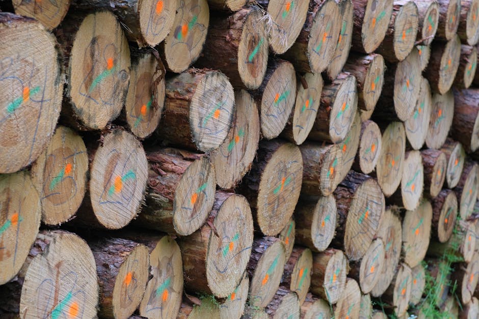 Close-up view of marked timber logs stacked outdoors, ideal for forestry and natural resource themes.