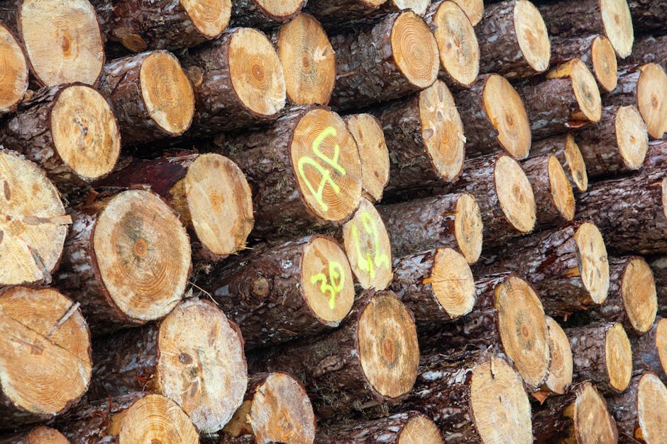 Pile of cut timber logs stacked outdoors, showcasing natural wood patterns.