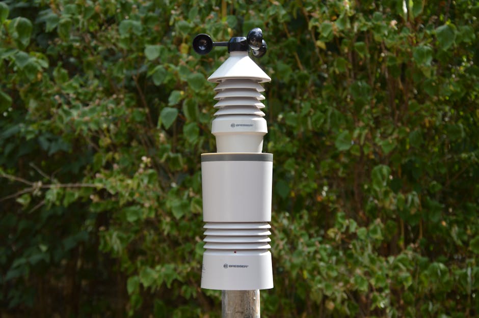 Close-up of a wireless weather station amidst green foliage, perfect for modern research and technology use.