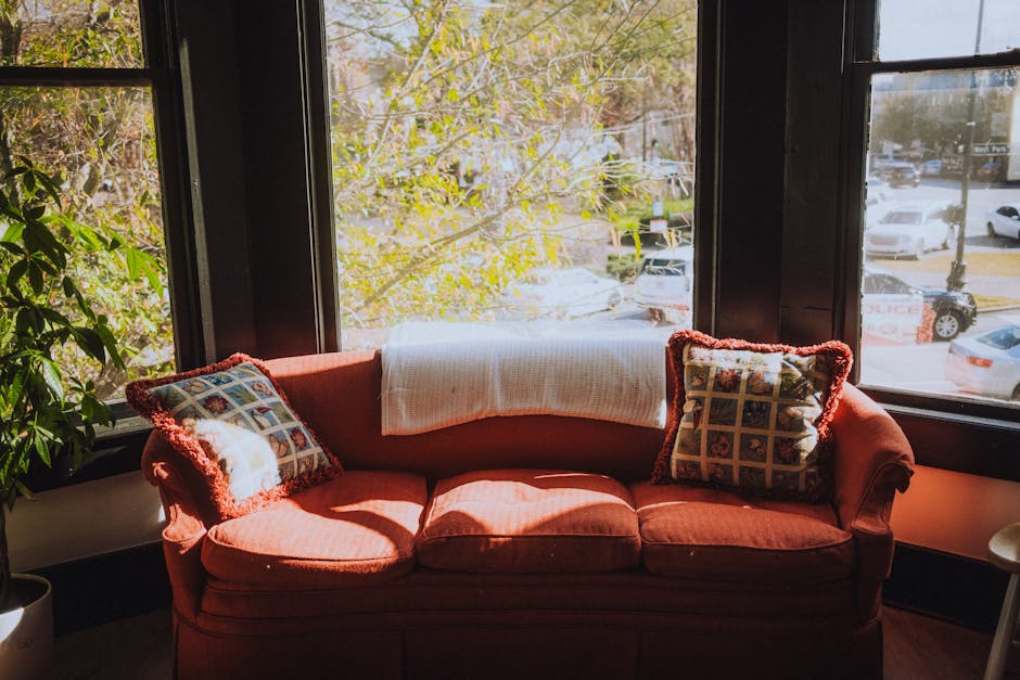 Warm and inviting living room scene with a sunlit red sofa by large windows, perfect for relaxation.